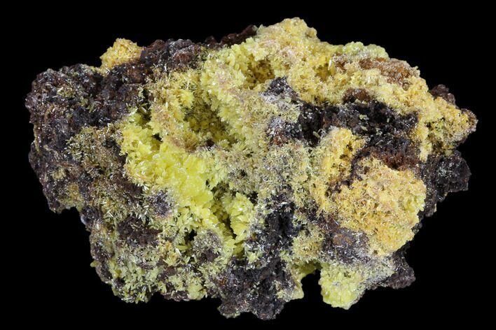 Mimetite Crystal Clusters on Limonitic Matrix - Mexico #119119